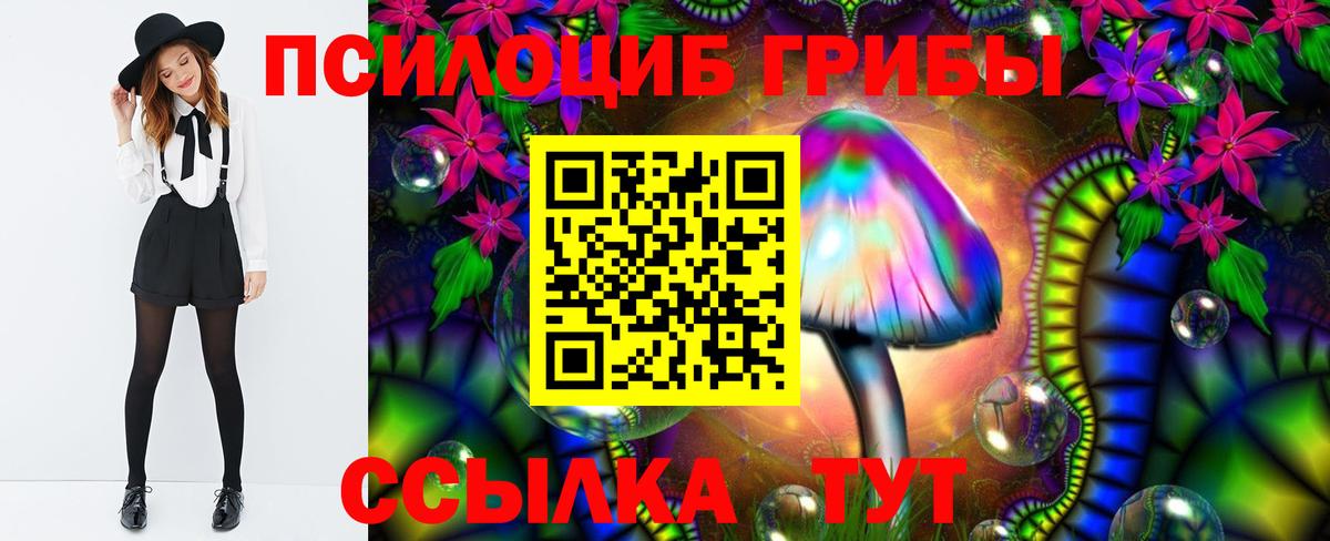 Шадринск  Галлюциногенные грибы прущие грибы  Вход с VPN  Псилоцибиновые грибы Cubensis 