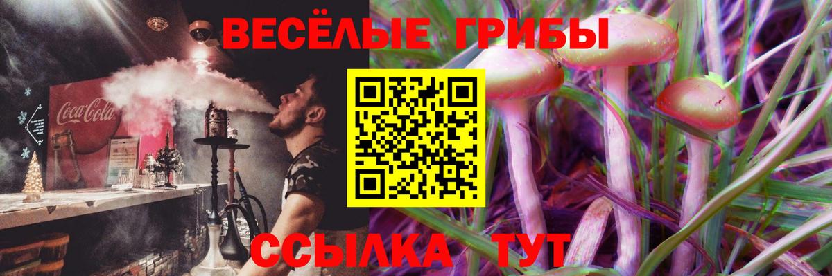 Марихуана Шадринск